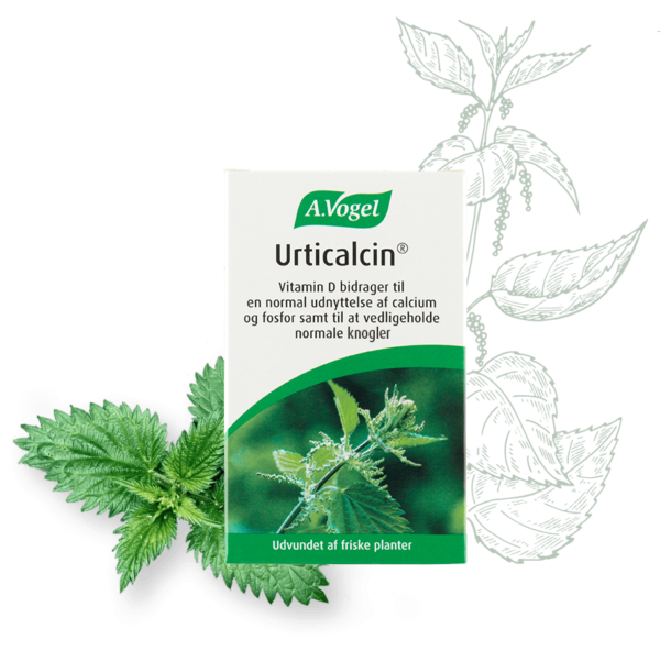 A  Vogel Urticalcin  Bull  600 Tabl