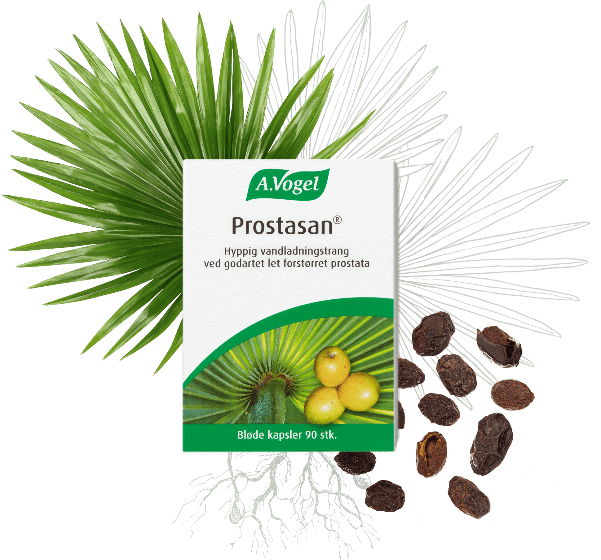 A  Vogel Prostasan 90 Kaps